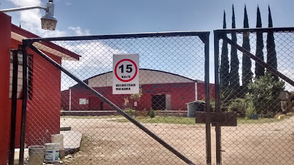 Cia Ayoforrest en Oaxaca de Juárez