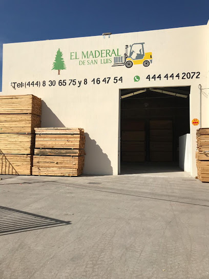 El Maderal de San Luis en Soledad de Graciano Sánchez