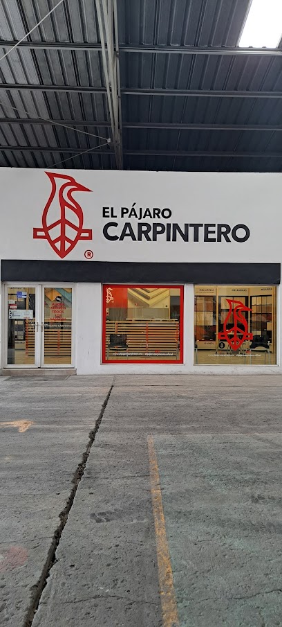 El Pájaro Carpintero en San Nicolás de los Garza