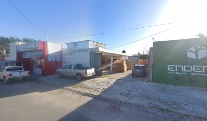 Endemik (Av Andrés Quintana Roo) en Chetumal