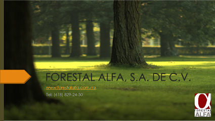Forestal Alfa S.A. de C.V. en Durango