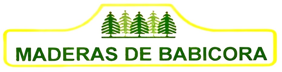 Maderas de Babicora Aserradero en Cuauhtémoc