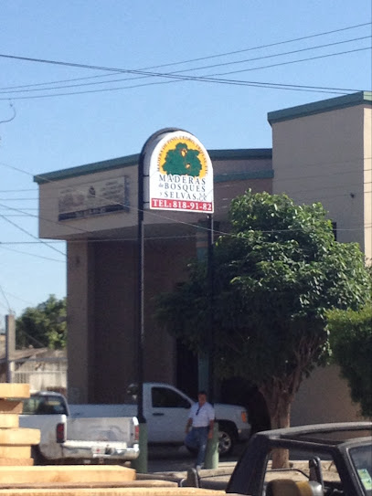 Maderas de Bosques y Selvas S.A. de C.V. en Los Mochis