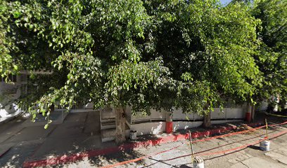 Maderería 5 Hermanos en Cuautla