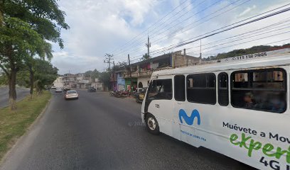 Venta de Madera de Palma en Manzanillo