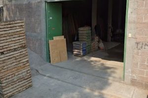 Cimbras 2 Arbolitos en Chimalhuacán