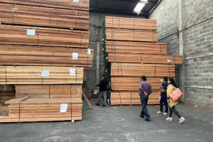 Grupo Gg Maderas – Bodega CDMX | Comercialización de Maderas Nacionales e Importadas en Iztacalco