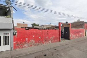 Impulsora Forestal del Bajío en León