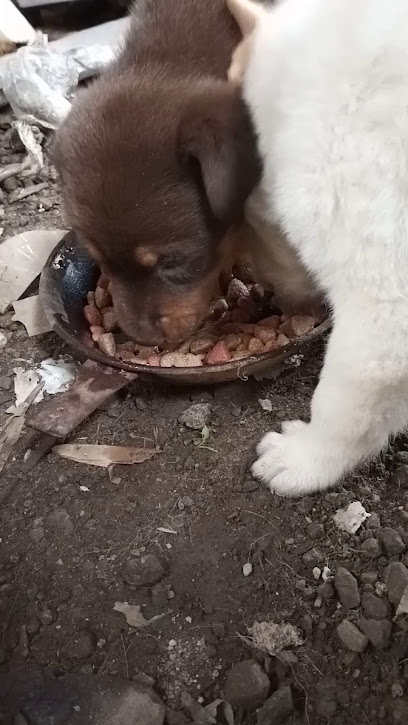 Maderería Don Toño en Toluca