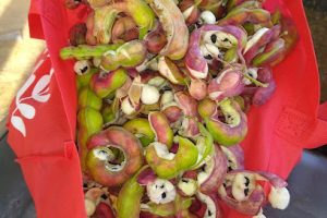 Carpintería Don Quijote en Mexicali