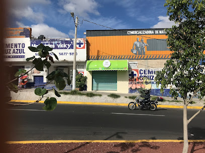 Creaciones en Madera y Cerámica en López Mateos