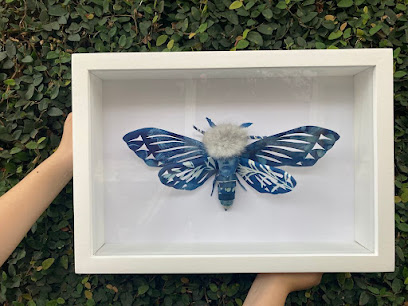 Grmarqueria en Xalapa