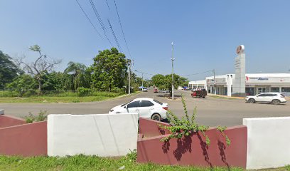 Grupo Forestal Lzc en Lázaro Cárdenas