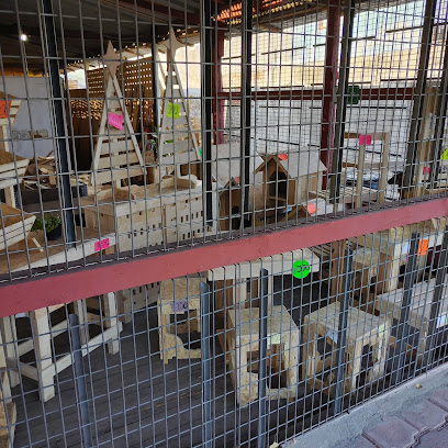 Madera Reciclada Inma Reforma en Puebla