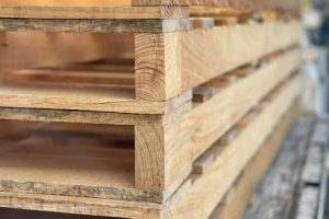 Maderas 31 en Tlaquepaque