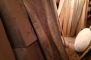 Maderas Finas en Tampico