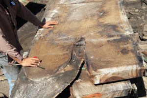 Maderas Tropicales en Tonalá