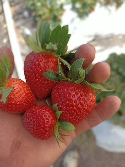 Maderería San Jose en Zamora