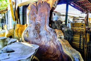 Productos Forestales Villaseñor en Mezcales