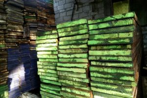 Renta Madera Cimbra en Temixco