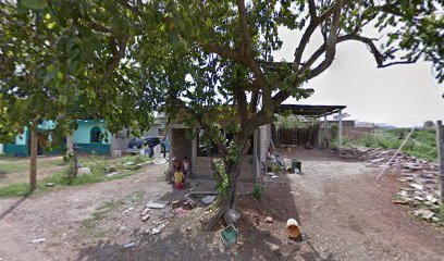 Tarimas Don Chuy en Mazatlán