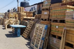 Tarimas El Güero en San Juan del Río