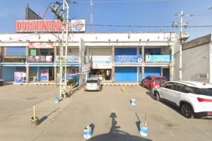 Carpicentro en San Juan del Río