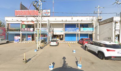 Carpicentro en San Juan del Río
