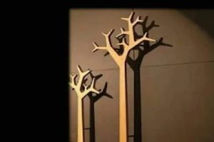 Carpintería El Roble en Xalapa