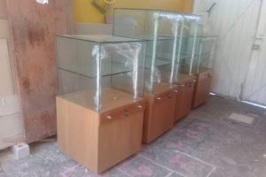 Desarrollos en Madera en Puebla