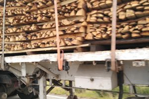 Madererías en Mexicali