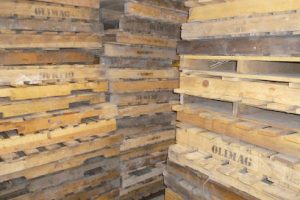 Taresa en General Escobedo