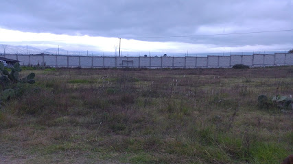Aserradero y Maderería Doga S.A. de C.V. en Tulancingo