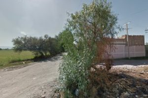 Bodega, Madera. en Celaya