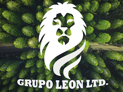 Carpintería Leon en Gómez Palacio