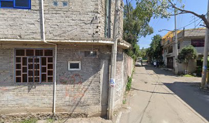 Carpintero en Xochimilco