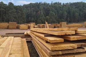 Madera Aserrada Torance en Saltillo