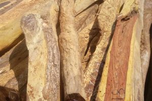 Maderas Pacífico-Sur en Acapulco