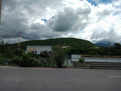 Productos Foresateles Industrializados en Chilpancingo