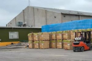 Protsur Pn en Piedras Negras