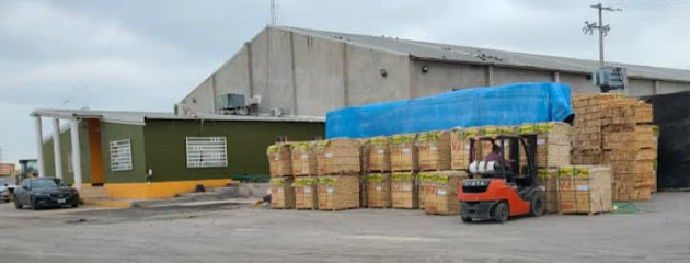 Protsur Pn en Piedras Negras