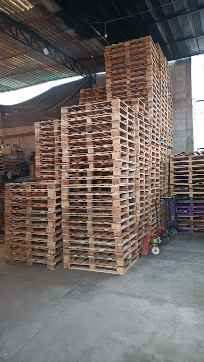 Tarimas Cruz en Valle de Chalco Solidaridad