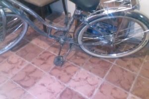 Aglomerados y Maderas Guadalajara en Cd. Obregón