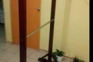 Arte en Madera en Tampico