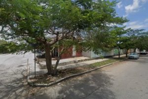 Arte en Madera y Fibra en Playa del Carmen