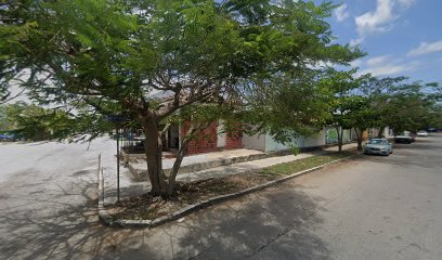 Arte en Madera y Fibra en Playa del Carmen