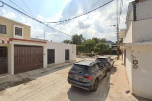 Cactus Madera y Diseño en San Juan del Río