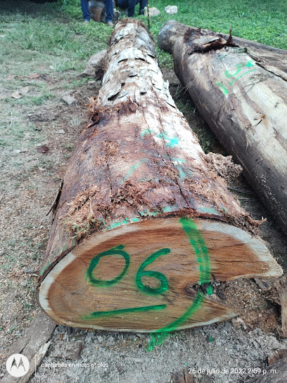 Comercializadora de Maderas San Jose en Chetumal