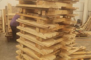 Dm Tarimas en General Escobedo