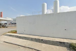 Gw Forestal en General Escobedo